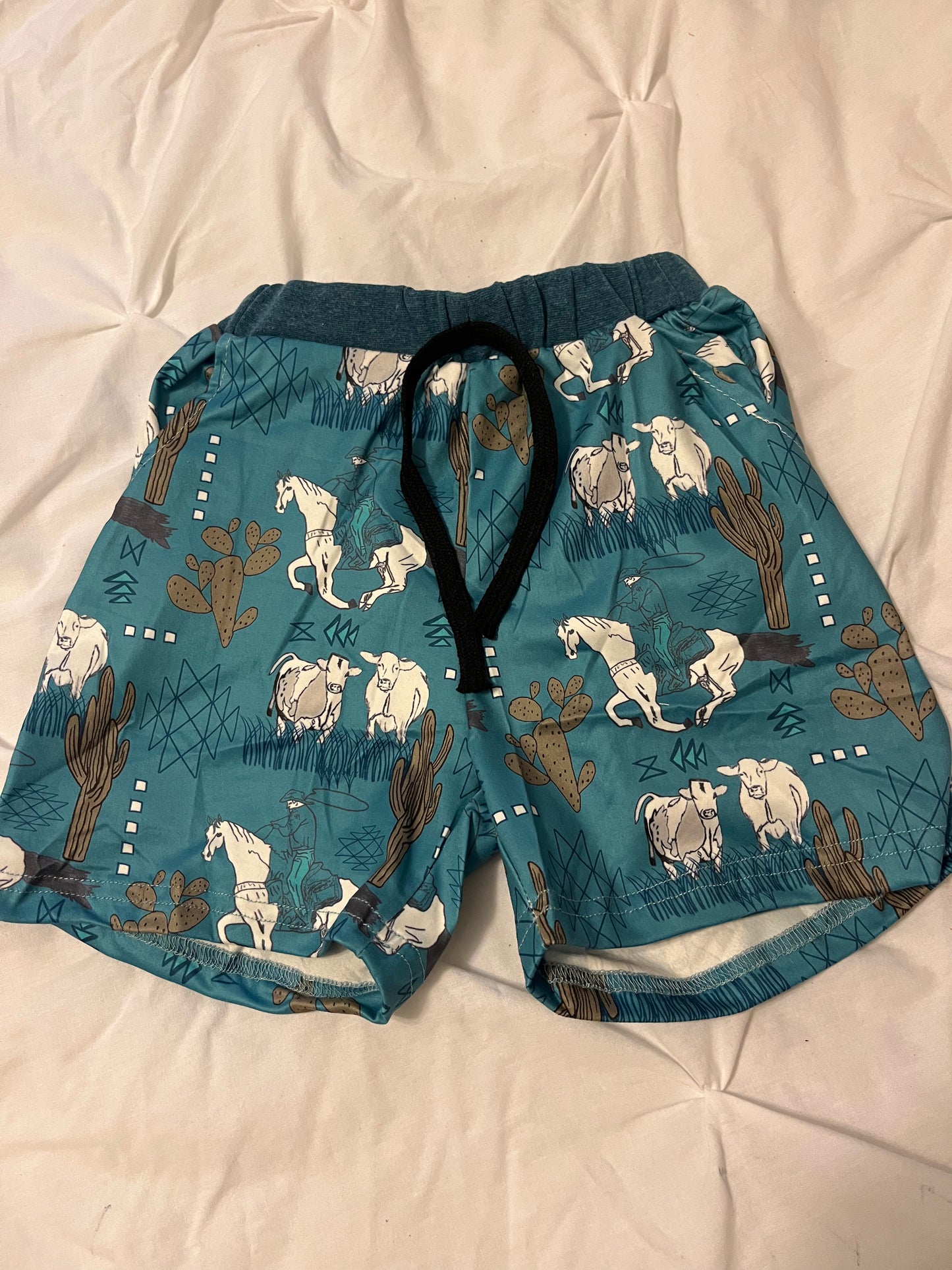 Teal/blue swim trunks