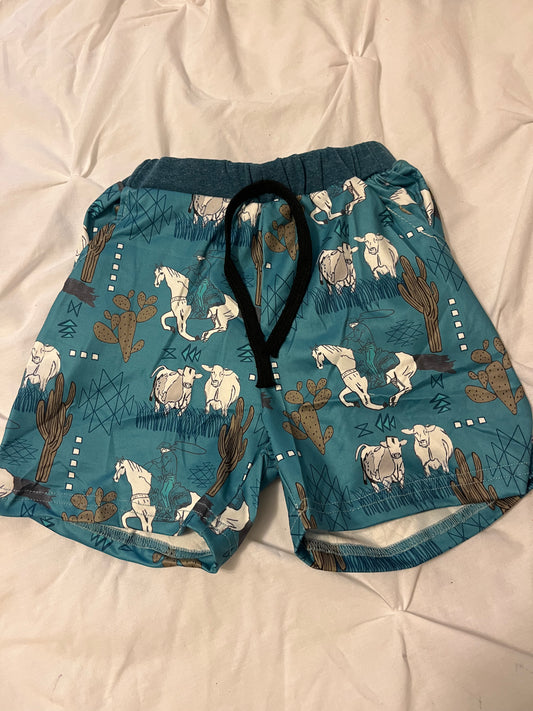 Teal/blue swim trunks